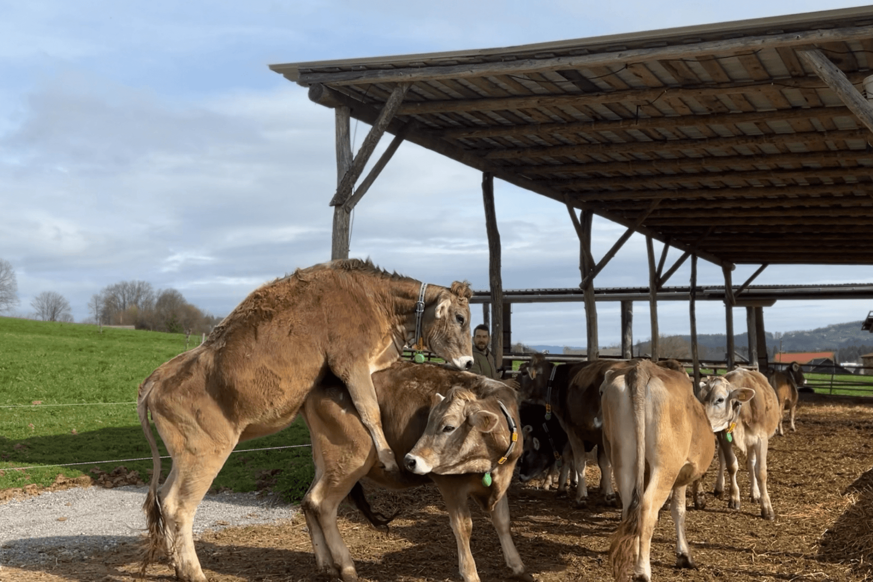 More heat detections icon