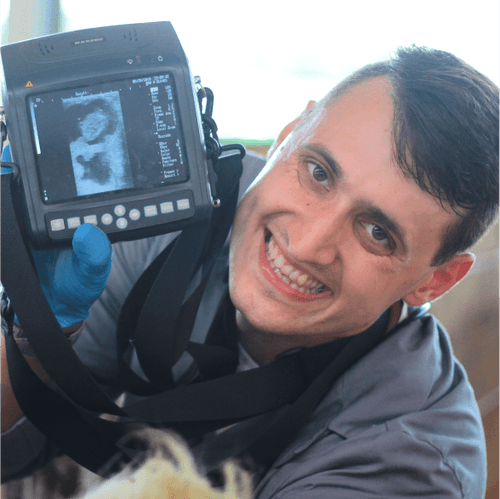 Aleksandar Plavšić